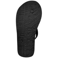 Chinelo Quiksilver Molokai Freshness Cinza Escuro -Redley Store A46 8680 010 zoom5