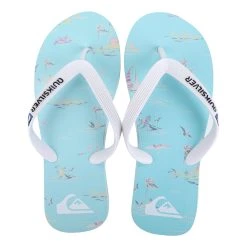 Chinelo Quiksilver Molokai Island Breezer Masculino