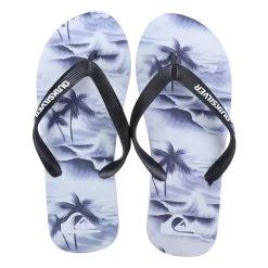 Chinelo Quiksilver Molokai Wave Masculino