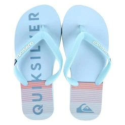 Quiksilver Chinelo Quilksilver Molokai Pointbreak Masculino