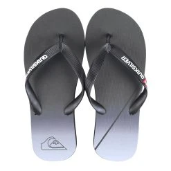 Quiksilver Chinelo Quilksilver Molokai New Wave Masculino