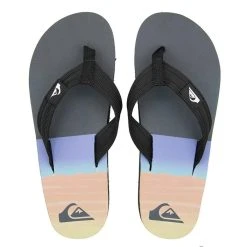 Quiksilver Chinelo Quilksilver Layback Sushine Masculino