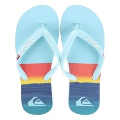 Quiksilver Chinelo Quilksilver Molokai Sushine Masculino