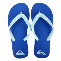 Chinelo Quiksilver Molokai Bicolor Masculino