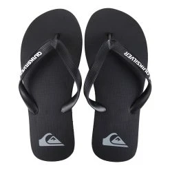 Chinelo Quiksilver Molokai Solid Masculino