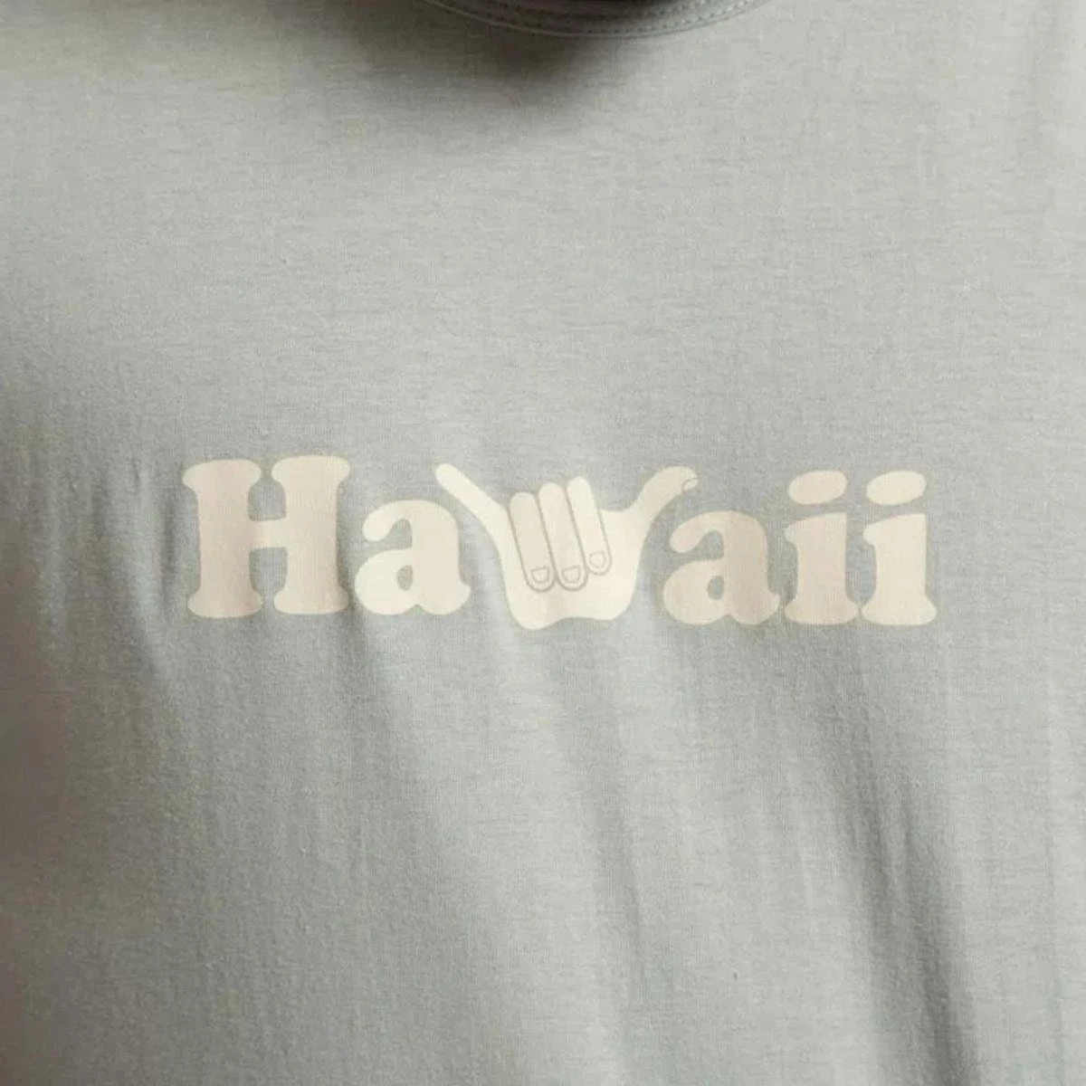 Hang Loose REG HL SILK HAWAII HLTS070067 CINZA AZULADO G 4 Hang Loose REG HL SILK HAWAII HLTS070067 CINZA AZULADO G - Image 2